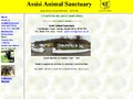 Assisi Animal Sanctuary