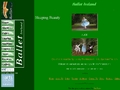 Ballet Ireland