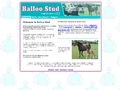 Balloo Stud