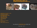 Bat Detective
