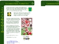 Lissummon Gaelic Football Club
