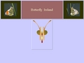 Butterflies of Ireland