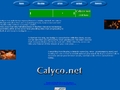 Calyco