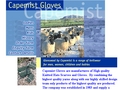 Capemist