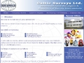 Celtic Surveys