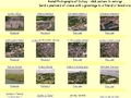 Dalkey, Sandycove and Dun Laoghaire
