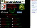 Camloch Craobh Rua Hurling Club