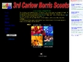 Scouting Ireland, Carlow 3rd - Borris Scout Group