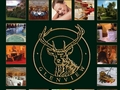 Glenview Hotel Delgany