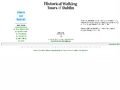 Historical Walking Tours of Dublin
