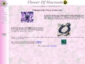 Flower of Macroom