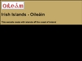 Blasket Islands - Na BlascaodaĆ