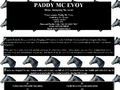 Paddy Mc Evoy Show Jumping Services