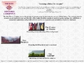 The Irish History Company