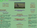 Irish Shares
