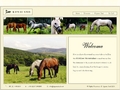 Kippure Stud