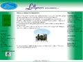 Lullymore Developments
