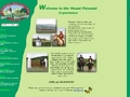 Mount Pleasant Pony Trekking and Horse Riding Centre