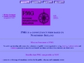 PMG Consultancy