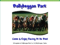 Ballybeggan Park