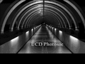 University of Dublin Photographic Society
