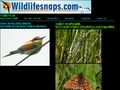 WildlifeSnaps.com