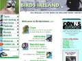 Birds Ireland