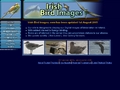 Irish Bird Images